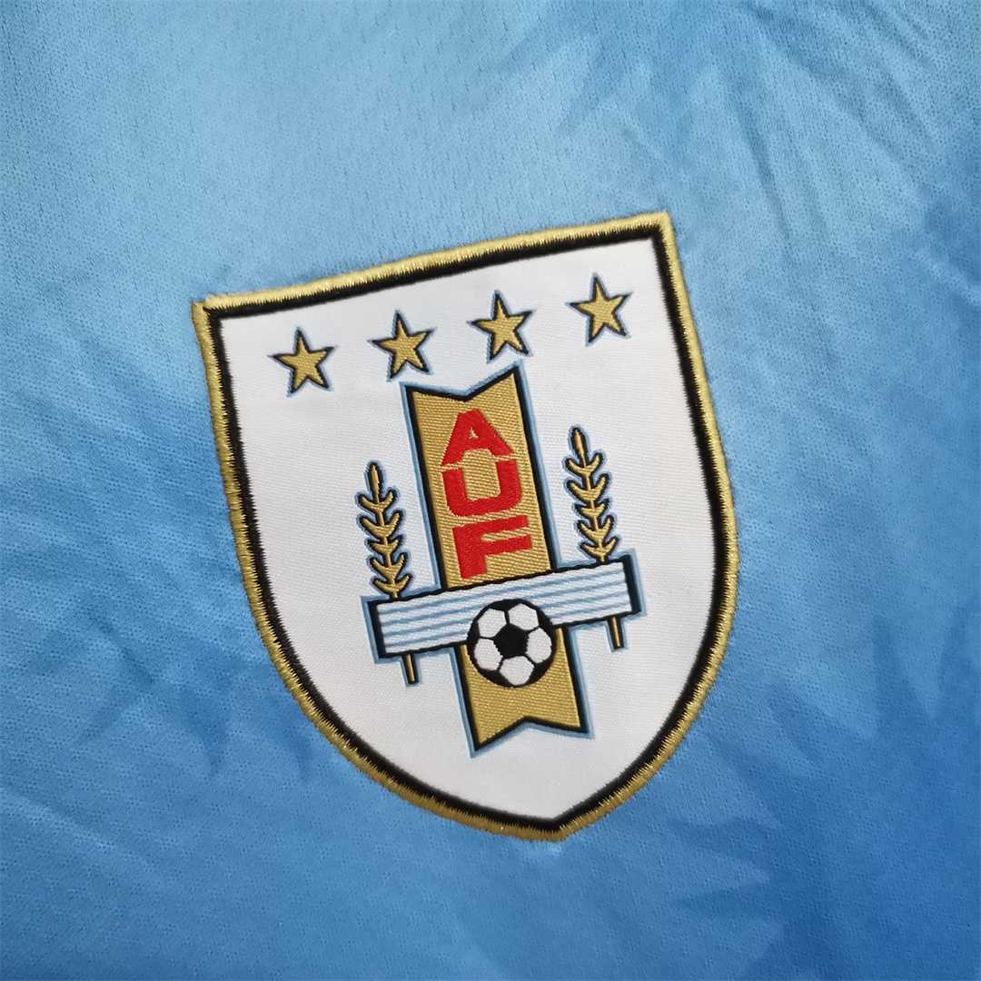 Camiseta Uruguay 2010